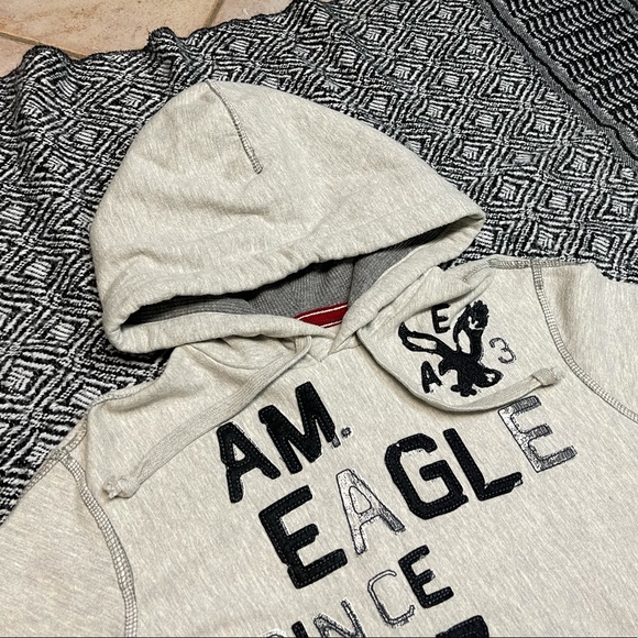 American Eagle Outfitters Classic Fit 1977 Logo Hoodie Men size S - Picture 5 of 10